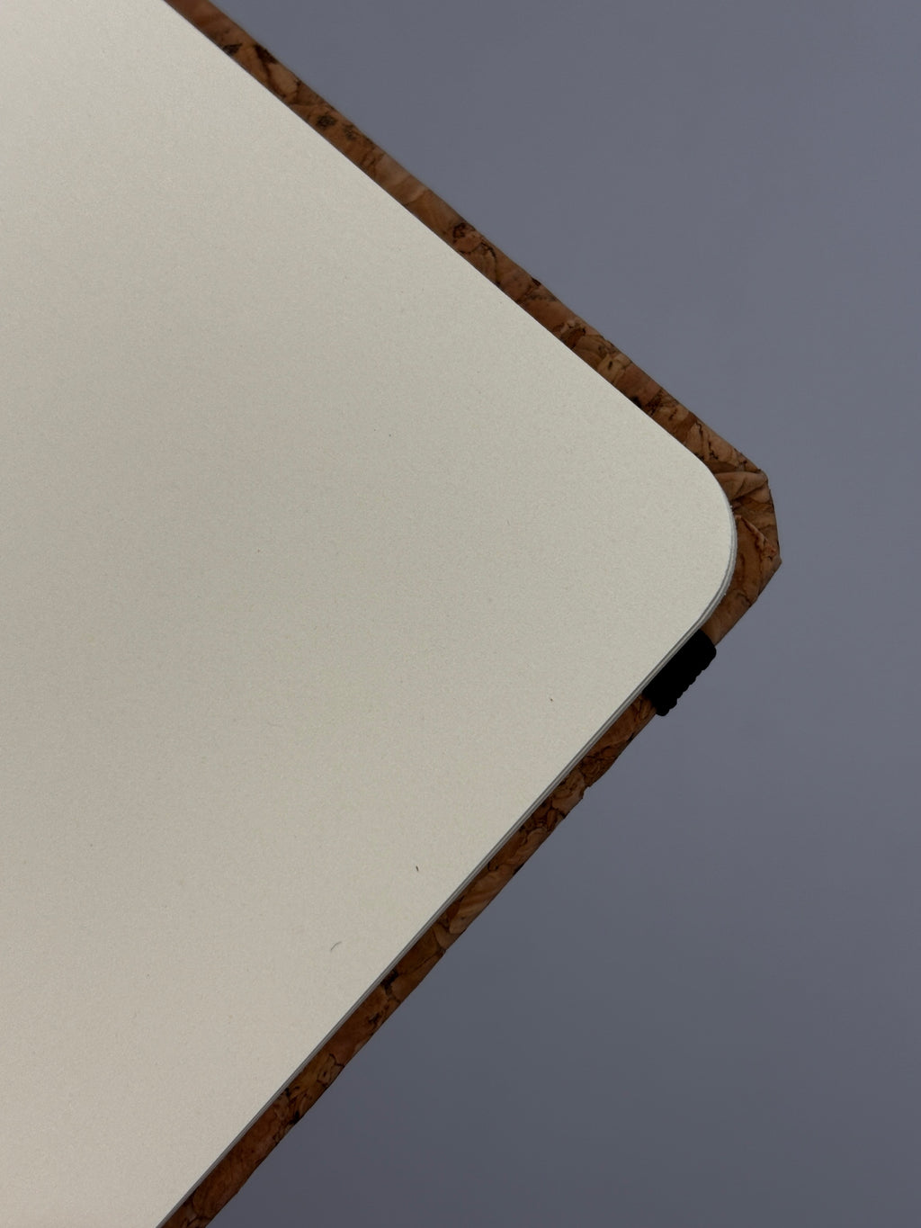 Notizbuch Kork A6